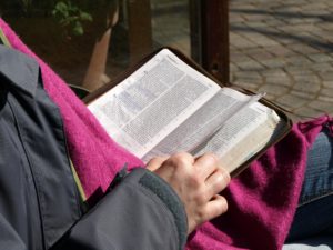 Image of person reading Bible outdoors